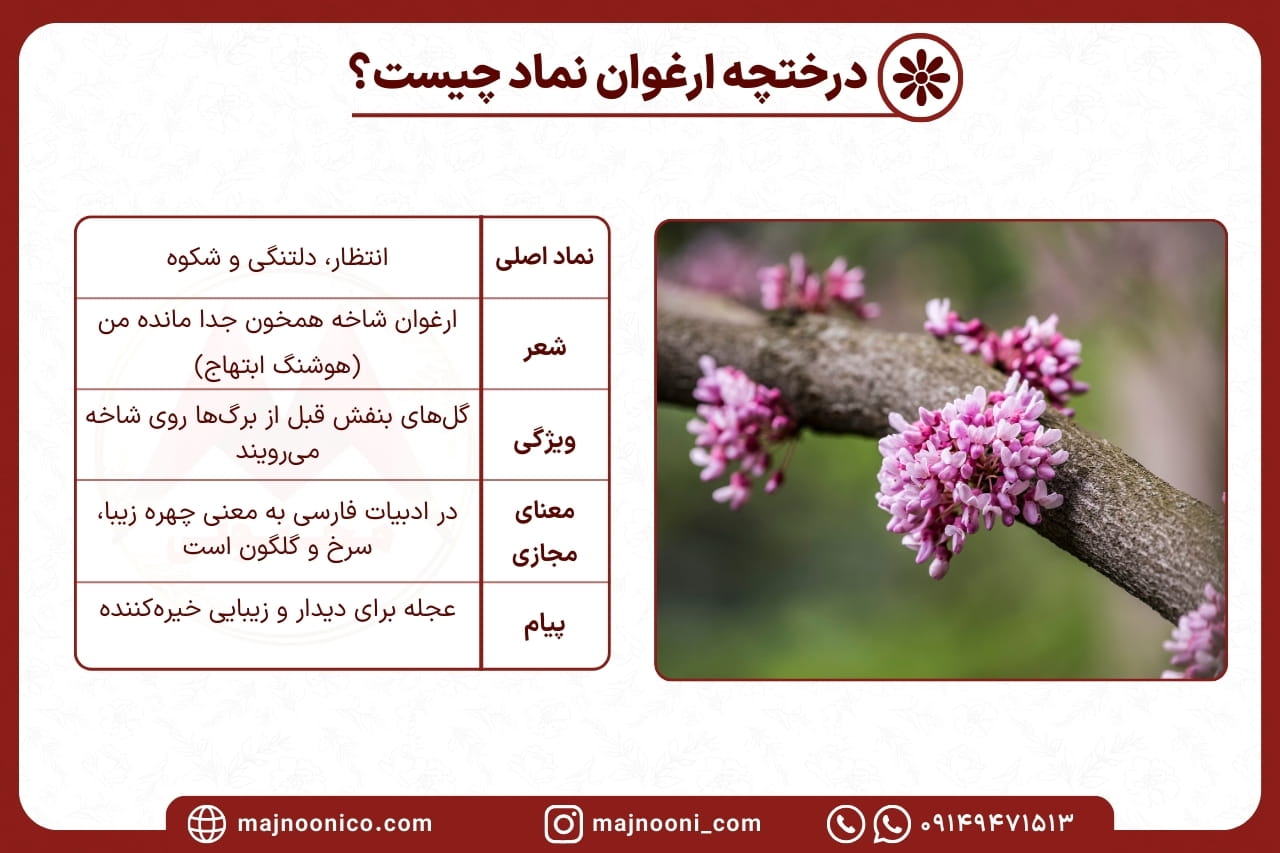 درخت ارغوان نماد چیست