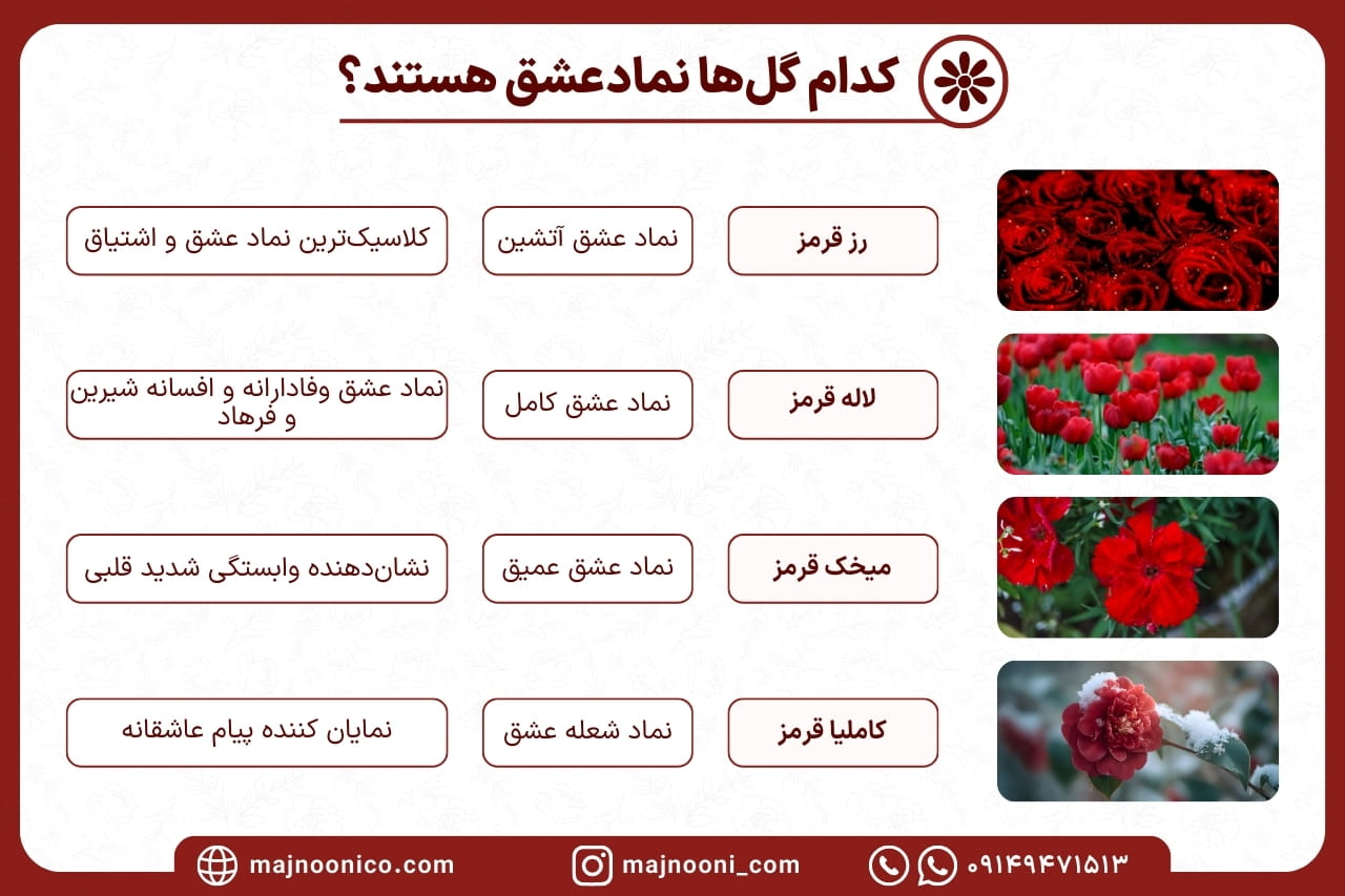 کدام گل نماد عشق است