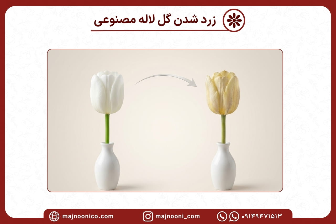 دلیل زرد شدن گل لاله مصنوعی