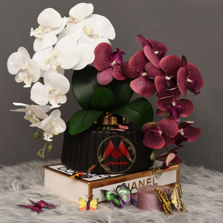 گل ارکیده لمسی