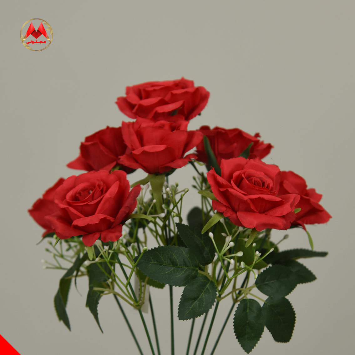بوته رز وارداتی ۹ بازو سفید و قرمز |فروش عمده | کد:1220 - تصویر 5