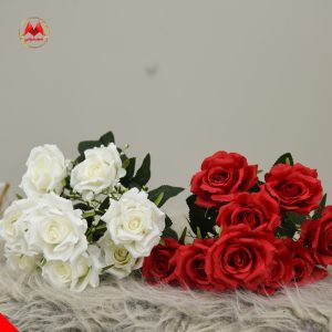 بوته رز وارداتی ۹ بازو سفید و قرمز |فروش عمده | کد:1220