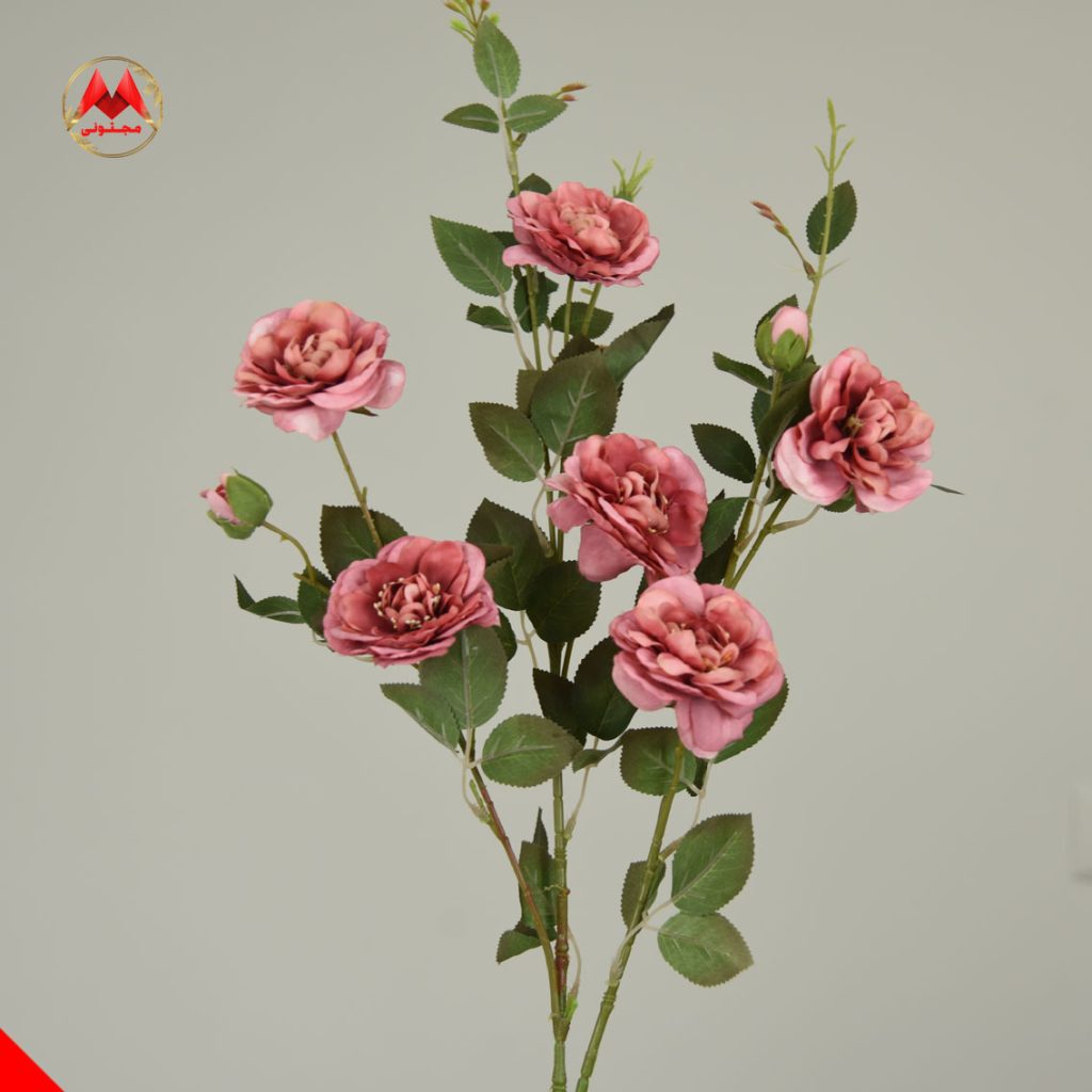 شاخه رز وارداتی ۹۰ سانتی‌متر | ۶ گل و ۶ بازو