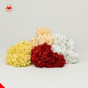 بوته هورتانسیا ۵ بازو وارداتی؛ انتخابی پرفروش برای گل‌فروشی‌ها و دکوراسیون
